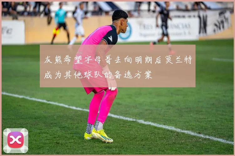 灰熊希望字母哥去向明朗后莫兰特成为其他球队的备选方案