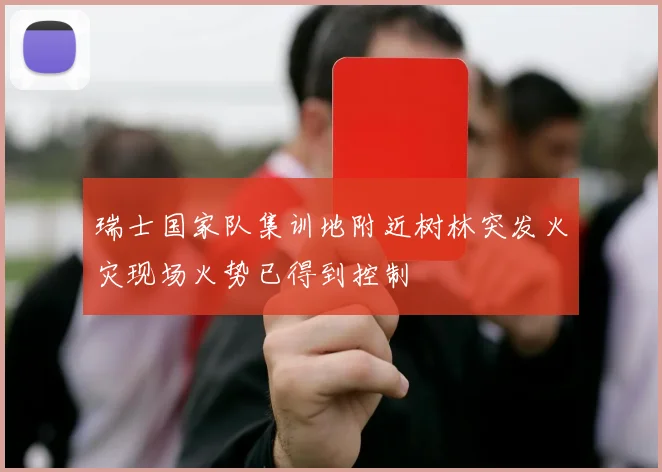 瑞士国家队集训地附近树林突发火灾现场火势已得到控制