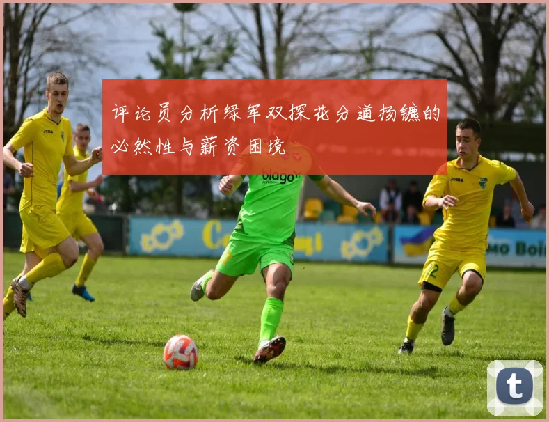 评论员分析绿军双探花分道扬镳的必然性与薪资困境